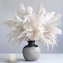 10/15 Pieces Of Artificial White Pampas Grass - Artificial Pampas In Vases That Do Not Fall Off - Versatile Featherless Decoration For Christmas, Thanksgiving, New Year, Valentine's Day, Mother's Day - Perfect For Weddings, Holiday Decorations - White - View 4