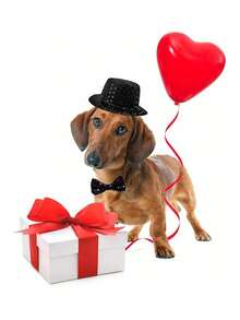 1 Set Party Jazz Hat And Bow Tie Suit, With Shiny Bow Tie, Adjustable Headband, Suitable For Cats, Small Dogs, Puppies - Black - View 3