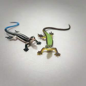 1 件逼真的蜥蜴形状猫玩具，耐用的塑料爬行动物宠物玩具，适合 6 个月及以上猫咪互动玩耍和锻炼，无需电池的室内猫玩具