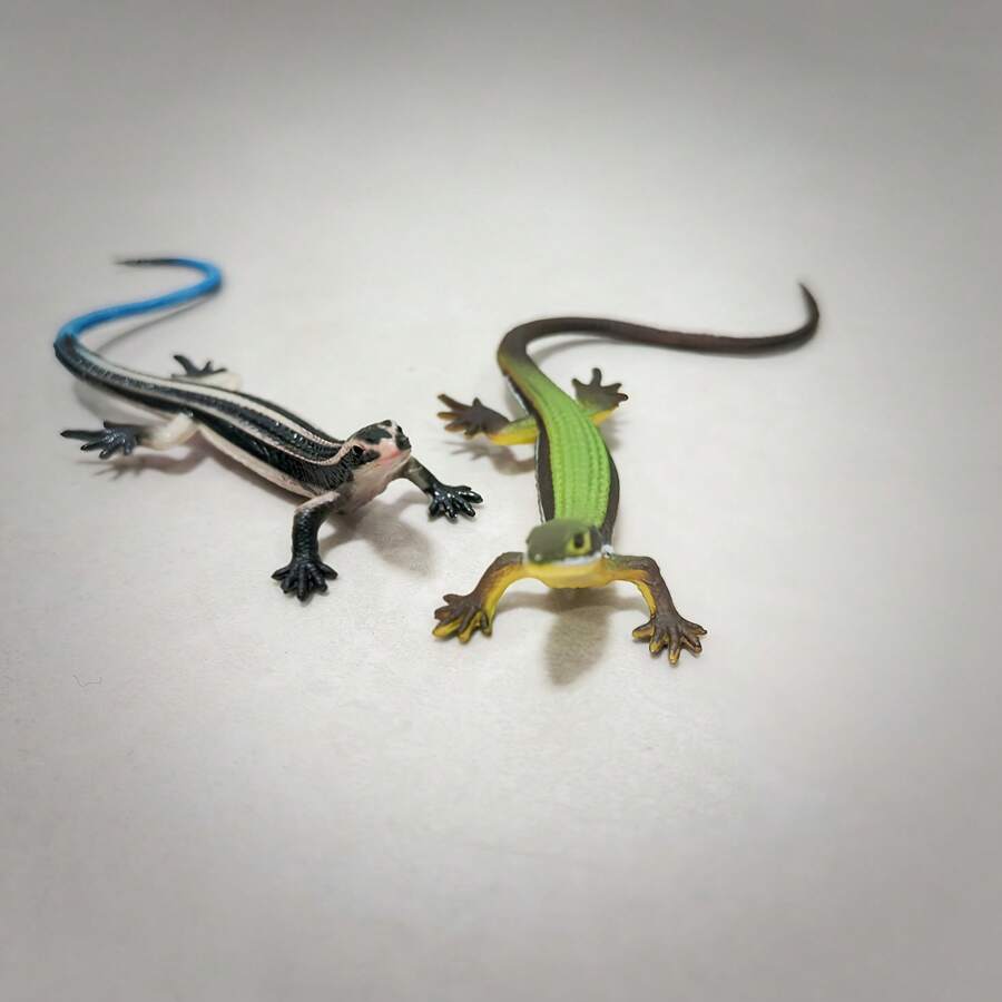 1pc Realistic Lizard Shaped Cat Toy, Durable Plastic Reptile Pet Toy For Interactive Play And Exercise For Cats 6 Months And Up, Battery-Free Indoor Cat Toy