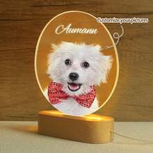 1件个性化宠物纪念礼品，狗狗纪念礼品，悼念逝去爱犬的宠物纪念礼品，狗狗纪念夜灯，定制狗狗纪念牌匾，猫咪纪念相框，宠物慰问礼品，USB接口笔记本电脑灯 - 彩色 - 查看 6