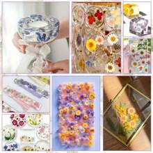 200pcs Mixed Colorful Small Dried Flowers Bulk/60PCS/120PCS Big Star Flowers For Resin Molds Project Casting Jewelry Candles Soap Making Nail Art Charms