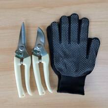 Tijeras de podar de acero inoxidable con mango de color blanco marfil, hojas rectas y curvas para jardinería, horticultura, poda de bonsái