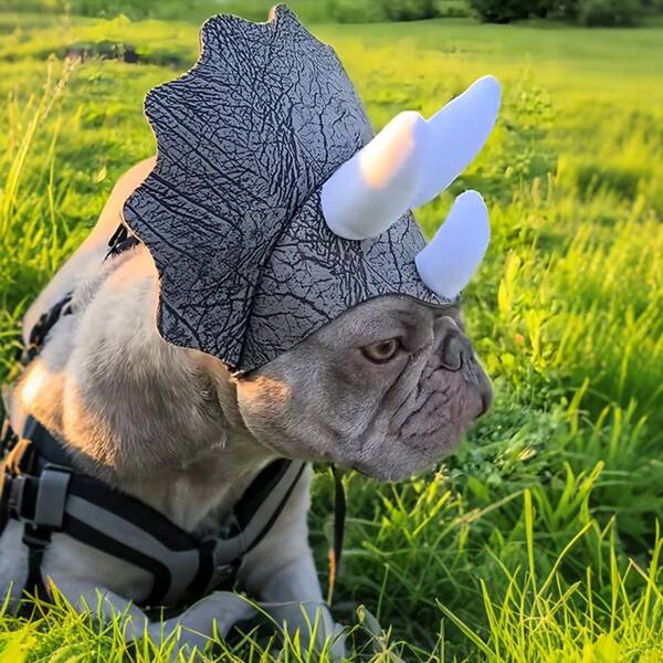 1 pieza Sombrero de perro de Triceratops - Gracioso tocado de perro de Triceratops - Sombrero de dinosaurio para perros pequeños - | Halloween / Fiesta y Utilería fotográfica / Bulldog Francés -