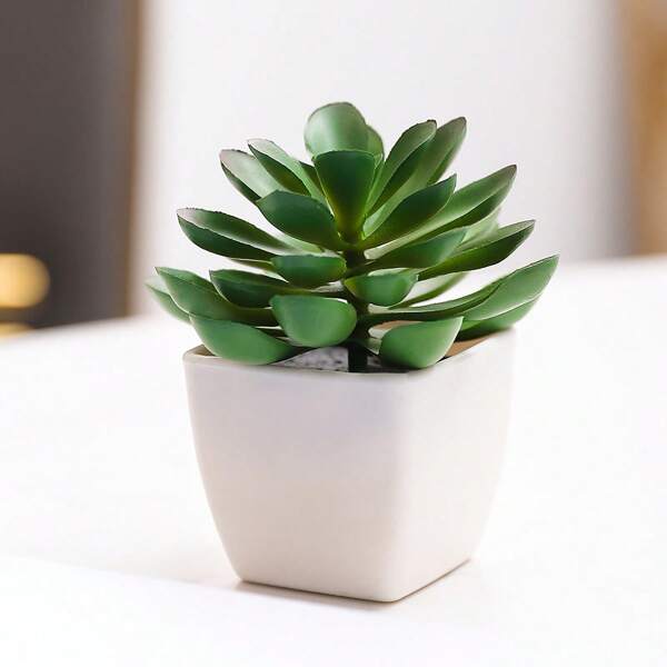 1/3 stuks realistische mini-vetplanten in pot, woondecoratie voor op de woonkamertafel, vensterbank, bureau, geschikt voor Moederdag en bruiloftsfeestdecoratie