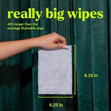 Goodwipes Flushable Wipes - Individually Wrapped Butt Wipe For On-The-Go Adults - Portable Mini Wipes - Travel Essentials - Sewer &Amp; Septic Safe - Botanical Bliss, 32 Count (1 Pack) - Cedar - View 2