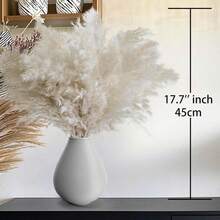 10/15 Pieces Of Artificial White Pampas Grass - Artificial Pampas In Vases That Do Not Fall Off - Versatile Featherless Decoration For Christmas, Thanksgiving, New Year, Valentine's Day, Mother's Day - Perfect For Weddings, Holiday Decorations - White - View 6