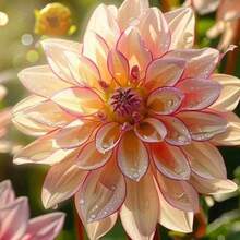 Flower Seeds - 100 Pcs - View 6