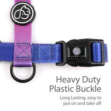 1 قطعة حزام تدريب للكلاب صغيرة ومتوسطة الحجم، لون متدرج بالوردي والأخضر والأرجواني والأزرق، مريح وقابل للتعديل، مناسب للكلاب الصغيرة والمتوسطة للتنزه والتدريب خارج المنزل - متعدد الألوان - مشاهدة 3