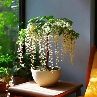 50 piezas de jazmín de seda - alta tasa de supervivencia, fácil de cultivar - adecuado para interiores, balcón u oficina, plantas angelicales, verde todo el año, planta de jazmín verde