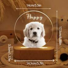 1件个性化宠物纪念礼品，狗狗纪念礼品，悼念逝去爱犬的宠物纪念礼品，狗狗纪念夜灯，定制狗狗纪念牌匾，猫咪纪念相框，宠物慰问礼品，USB接口笔记本电脑灯 - 彩色 - 查看 2