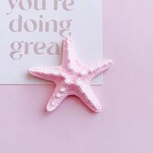 8 件/4 件什锦海洋系列海星、贝壳、海胆装饰、家居装饰、鱼缸装饰、礼物、DIY 手机壳/饰品/钥匙扣/发夹、各种手工工艺品用品，颜色随机 - 1件 - 查看 5