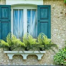 12pcs Artificial Palm Tree, Plastic Plants Greenery, Fake Tropical Shrub, Large Leaf, Suitable For Indoor/Outdoor Garden, DIY Basket Filler, Wedding Decor, Party Decoration, UV Resistant