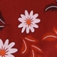 彩色