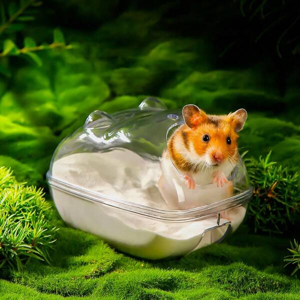 Banheira e vaso sanitário Golden Hamster de uso duplo, adequado para banho de hamster, à prova de respingos, fácil de desmontar