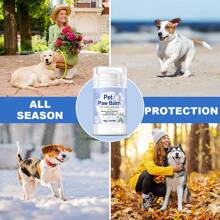 2 pièces Ensemble de Shampooing pour Chien et Crème pour Coussinets | Purement Naturel, Crème Apaisante à Lécher Contenant de l'Huile de Noix de Coco et du Beurre de Karité | Crème Hydratante pour Coussinets et Baume pour le Nez, Spécialement Conçus pour les Coussinets et Nez Secs et Gercés