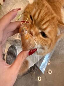 1 Pezzo Capsula Commemorativa Trasparente Per Gatti - Design Viso Carino Con Anello Per Appendere - Regalo Commemorativo Per Amanti Dei Gatti, Conserva I Peli Del Tuo Animale Domestico A Lungo Termine, Design Emozionale, Chiusura Sicura, Memoriale Per La Perdita Del Tuo Animale Domestico