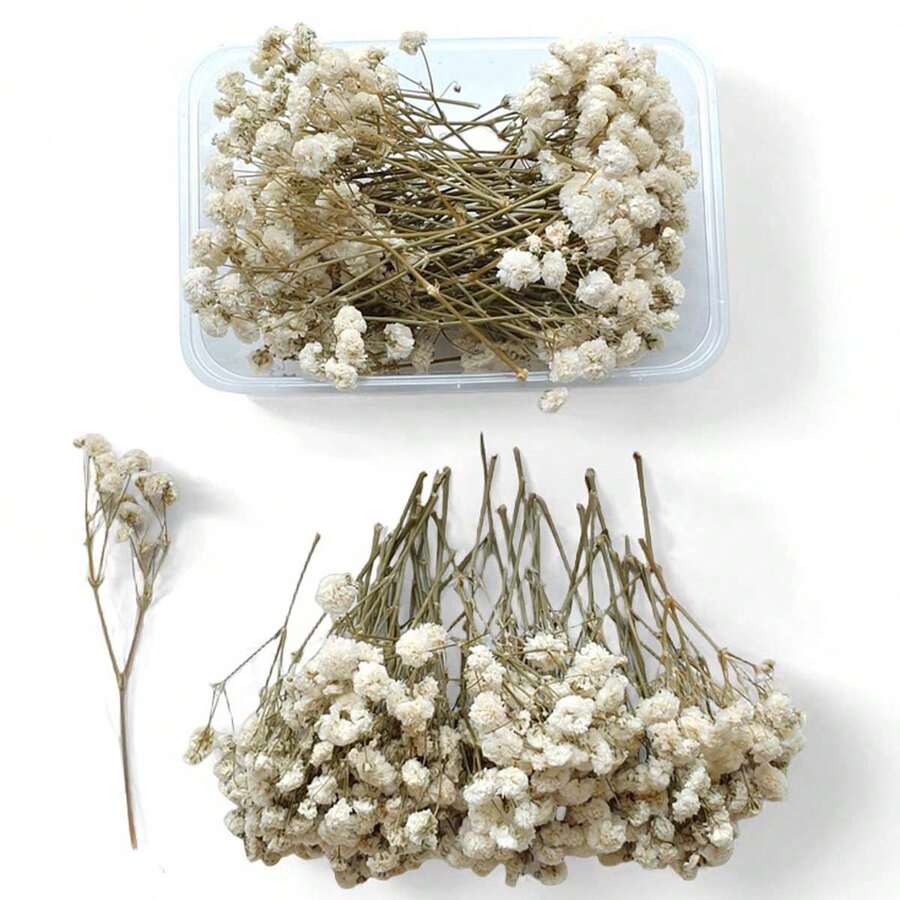 50/100 piezas de Flores de Aliento de Bebé Preservadas en Blanco de 2.7" a 5" de largo, adecuadas para bodas, decoración floral de mesa, manualidades, ramos de novia, decoración de tarjetas