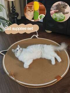 Animaux de compagnie 