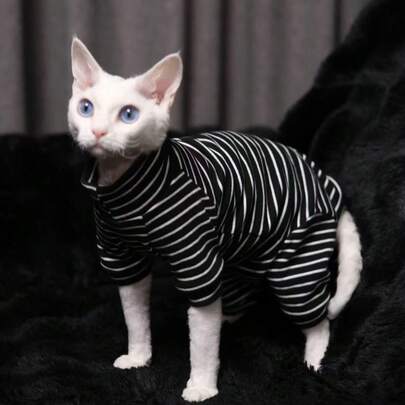 Hairless Cats Tricolor Quadruped Shirt, Sphynx Undershirt, Devon Rex Pet Clothing, Simple Casual Long Sleeve