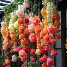 50/Pack Hanging Begonia , Planting Garden Decoration Outdoor Flowers, Plants, Fruit And Vegetable Planting, Suitable For Plant Lovers As A Gift From Nature