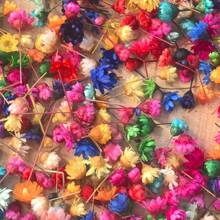 200pcs Mixed Colorful Small Dried Flowers Bulk/60PCS/120PCS Big Star Flowers For Resin Molds Project Casting Jewelry Candles Soap Making Nail Art Charms