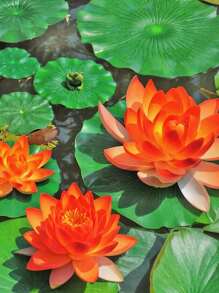 5pcs-Sunset Red Lotus Flowers, Lotus Artificial Flowers, Pond Decoration Artificial Flowers, Water-Floating Foam Lotus Simulating Real Lilies, Are Very Suitable For Garden Pond And Fish Tank Decoration
