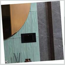 Duplex Contact Plate, Single Switches, Double Switch, Switch With Contact - 030545 - View 3