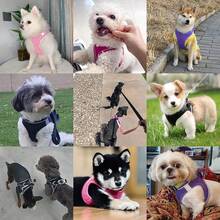 Dog Harness With Leash Set, No-Pull Step-In Reflective Pet Harness With 1 Leash Clips, Adjustable Soft Padded  Dog Vest Small Medium Large Dogs, Cats(Bright Red, XXXSmall)8GGY - Pink - View 11