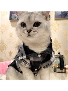 อุปกรณ์สัตว์เลี้ยง