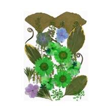 30/40Pcs 1 Set Dried Pressed Leaves Dried Flowers For Resin Real Assorted Dried Greenery For Pressed Leaf Art Craft DIY Handmade Bookmarks Embellishment Decorations