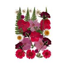 30/40Pcs 1 Set Dried Pressed Leaves Dried Flowers For Resin Real Assorted Dried Greenery For Pressed Leaf Art Craft DIY Handmade Bookmarks Embellishment Decorations