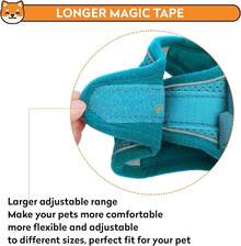 Dog Harness With Leash Set, No-Pull Step-In Reflective Pet Harness With 1 Leash Clips, Adjustable Soft Padded  Dog Vest Small Medium Large Dogs, Cats(Bright Red, XXXSmall)8GGY - Teal - 查看 9