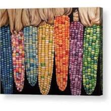 Regalo de semillas 500 piezas 20 hermosas gemas de vidrio colores de maíz hermosas semillas no transgénicas seleccionadas a mano - Variante 1 - Ver 6