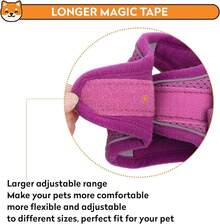Dog Harness With Leash Set, No-Pull Step-In Reflective Pet Harness With 1 Leash Clips, Adjustable Soft Padded  Dog Vest Small Medium Large Dogs, Cats(Bright Red, XXXSmall)8GGY - 紅色 - 查看 8