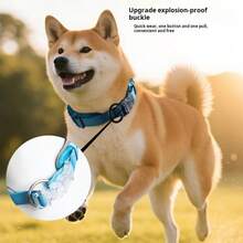 Obroża dla psa, trwała, dla małych i średnich psów, smycz, obroża antyzagubiona dla misia i innych ras