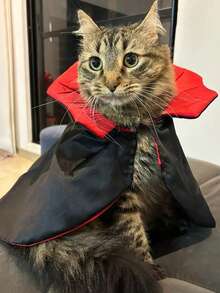 Accesorios para mascotas - Capa de vampiro para perros/gatos pequeños, disfraz y vestido para mascotas