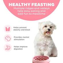 Hound Fun Feeder Slo Bowl, Slow Feeder Dog Bowl, Medium/Mini, Turquoise - 粉色 - 查看 2