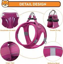 Dog Harness With Leash Set, No-Pull Step-In Reflective Pet Harness With 1 Leash Clips, Adjustable Soft Padded  Dog Vest Small Medium Large Dogs, Cats(Bright Red, XXXSmall)8GGY - 紅色 - 查看 9