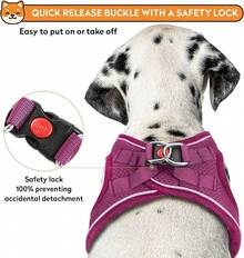 Dog Harness With Leash Set, No-Pull Step-In Reflective Pet Harness With 1 Leash Clips, Adjustable Soft Padded  Dog Vest Small Medium Large Dogs, Cats(Bright Red, XXXSmall)8GGY - 紅色 - 查看 10