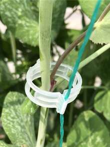 100个/200个植物固定夹，塑料网格夹，绿色植物支撑夹，藤蔓夹，番茄藤蔓夹，蔬菜植物夹，园艺夹，帮助植物直立生长，更健康更美观，幼苗固定藤蔓夹，春季植物种植捆绑夹 - 白色 - 查看 4