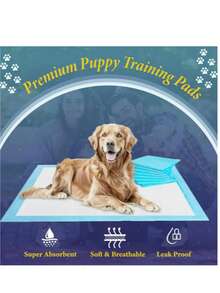 20片/100片狗狗一次性尿垫，狗尿布高吸水宠物笼垫小狗如厕训练垫