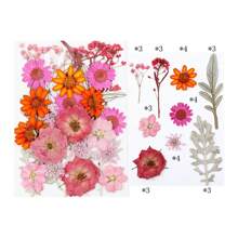 30/40Pcs 1 Set Dried Pressed Leaves Dried Flowers For Resin Real Assorted Dried Greenery For Pressed Leaf Art Craft DIY Handmade Bookmarks Embellishment Decorations