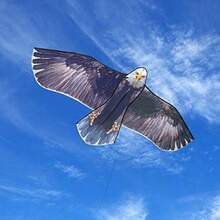 TendenciaJEKOSEN - Cometa de águila para niños y adultos, cometas grandes, fácil de volar, principiantes, cuerda de una sola línea para viajes a la playa, parque y actividades al aire última intervensiónCalidad premium - Águila calva - Ver 3