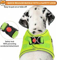 Dog Harness With Leash Set, No-Pull Step-In Reflective Pet Harness With 1 Leash Clips, Adjustable Soft Padded  Dog Vest Small Medium Large Dogs, Cats(Bright Red, XXXSmall)8GGY - 螢光 - 查看 5