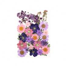 30/40Pcs 1 Set Dried Pressed Leaves Dried Flowers For Resin Real Assorted Dried Greenery For Pressed Leaf Art Craft DIY Handmade Bookmarks Embellishment Decorations