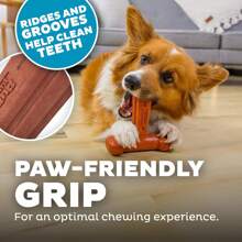 Outward Hound Dogwood Wood Durable Dog Chew Toys, Real Wood &Amp; Calming Hemp, 2-Pack, Medium