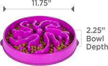 Fun Feeder Slo Bowl, Large Slow Feeder Dog Bowl, 4 Cups, Purple