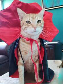 Accesorios para mascotas - Capa de vampiro para perros/gatos pequeños, disfraz y vestido para mascotas