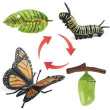 4 piezas Ciclo de crecimiento de simulación del emperador mariposa, proceso de crecimiento, herramientas de enseñanza y educativas para que los niños aprendan